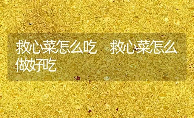 救心菜怎么吃 救心菜怎么做好吃 | 养殖资料投稿