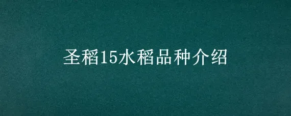 圣稻15水稻品种介绍