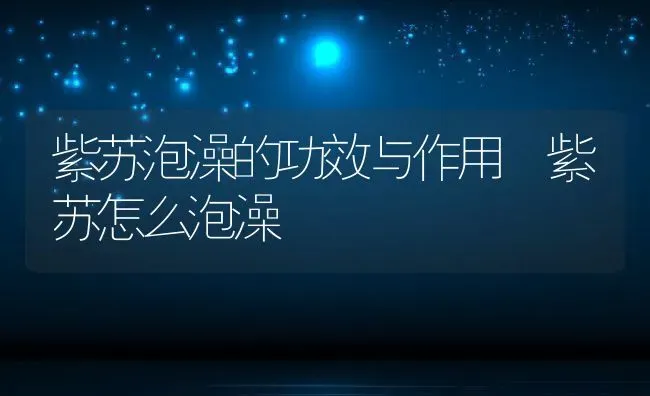 紫苏泡澡的功效与作用 紫苏怎么泡澡 | 养殖资料投稿