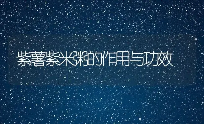 紫薯紫米粥的作用与功效 | 养殖资讯
