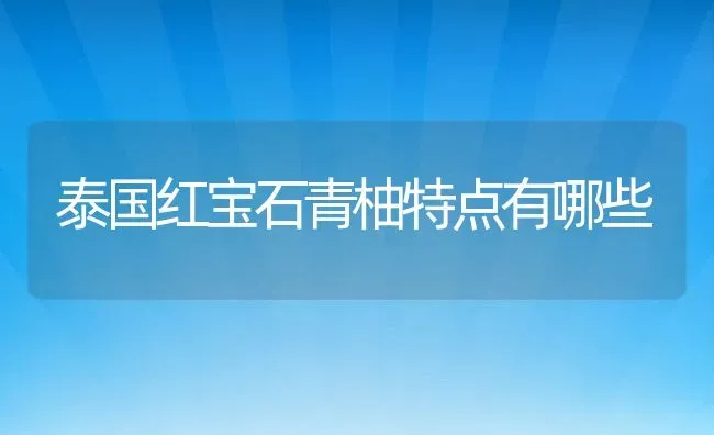泰国红宝石青柚特点有哪些 | 养殖资讯