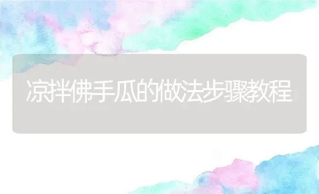 凉拌佛手瓜的做法步骤教程 | 养殖资料投稿