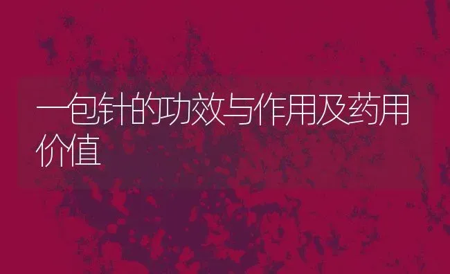 一包针的功效与作用及药用价值 | 养殖资料投稿