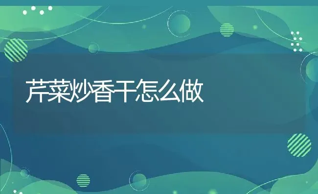 芹菜炒香干怎么做 | 养殖资料投稿