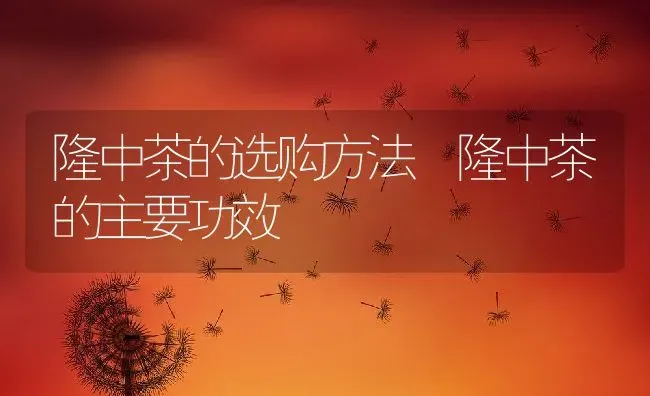 隆中茶的选购方法 隆中茶的主要功效 | 养殖资料投稿