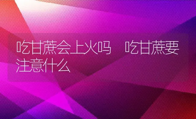 吃甘蔗会上火吗 吃甘蔗要注意什么 | 养殖资料投稿