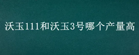 沃玉111和沃玉3号哪个产量高