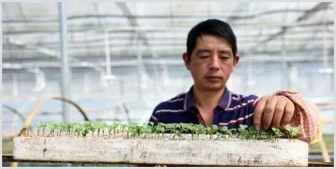 今年哪一类农民将受益？这五项农村补贴扶贫措施让你发家致富 | 农业养殖资讯