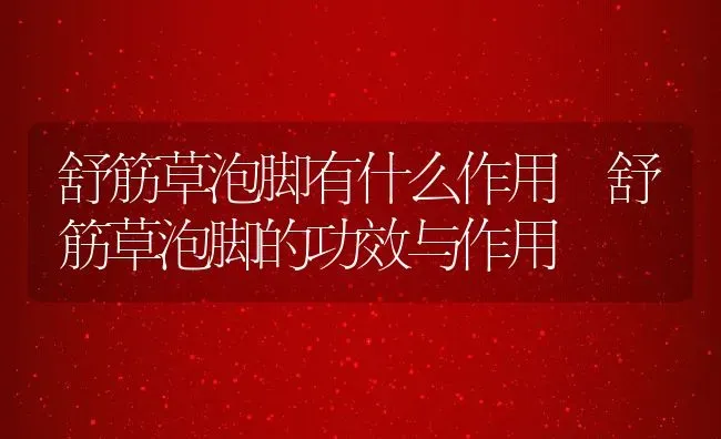 舒筋草泡脚有什么作用 舒筋草泡脚的功效与作用 | 养殖资料投稿