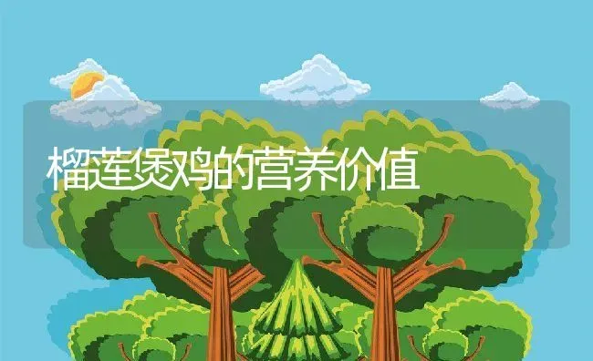榴莲煲鸡的营养价值 | 养殖资料投稿