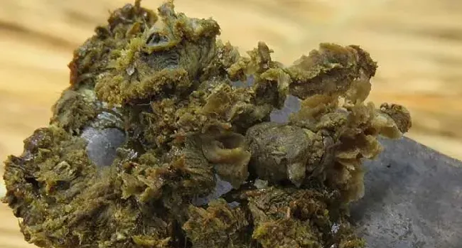 蜂胶的正确吃法及最佳时间