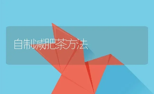 自制减肥茶方法 | 养殖资料投稿
