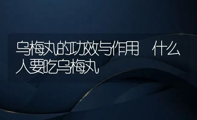 乌梅丸的功效与作用 什么人要吃乌梅丸 | 养殖资料投稿