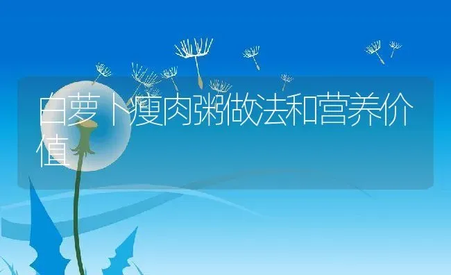 白萝卜瘦肉粥做法和营养价值 | 养殖资料投稿