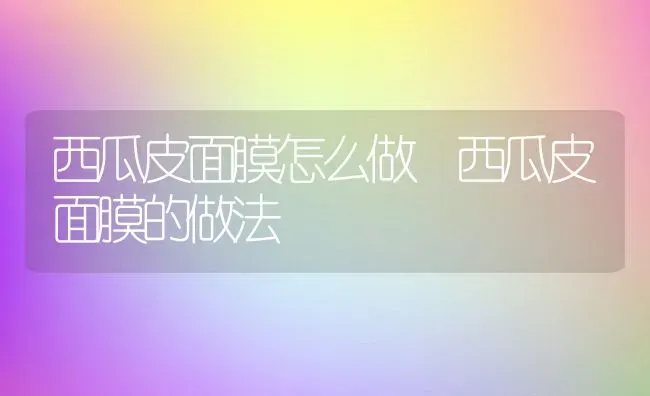 西瓜皮面膜怎么做 西瓜皮面膜的做法 | 养殖资料投稿