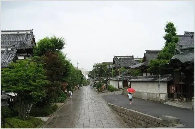 在农村做什么有钱景？这几个创业项目在农村致富 | 养殖赚钱项目