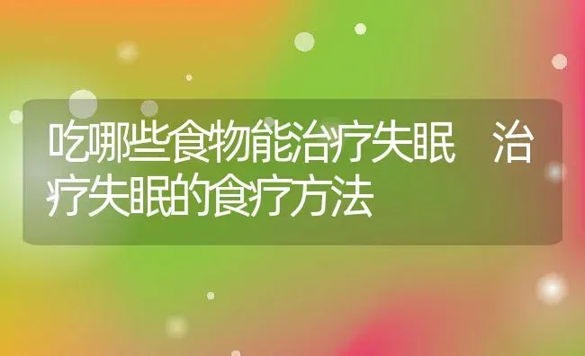 吃哪些食物能治疗失眠 治疗失眠的食疗方法 | 养殖资料投稿