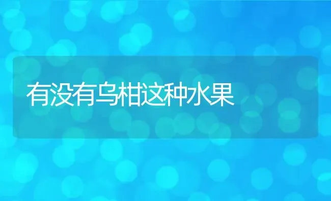 有没有乌柑这种水果 | 养殖资讯