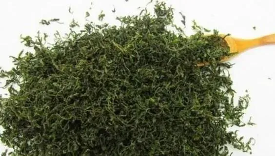 酸枣芽茶的功效与副作用