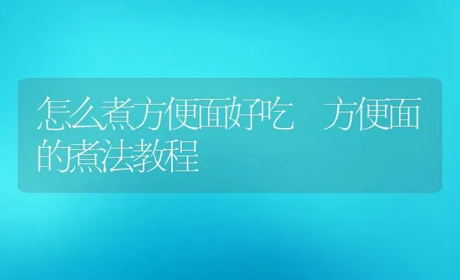 怎么煮方便面好吃 方便面的煮法教程 | 养殖资料投稿