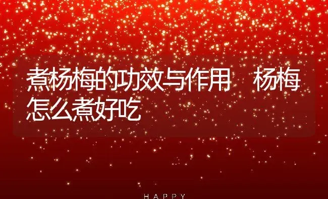 煮杨梅的功效与作用 杨梅怎么煮好吃 | 养殖资料投稿