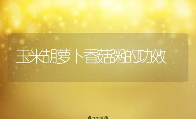 玉米胡萝卜香菇粥的功效 | 养殖资料投稿