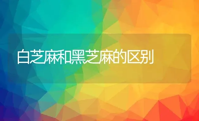 白芝麻和黑芝麻的区别 | 养殖资料投稿