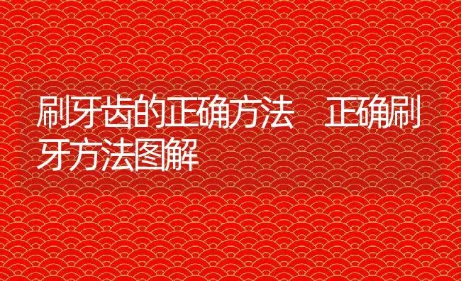 刷牙齿的正确方法 正确刷牙方法图解 | 养殖资料投稿