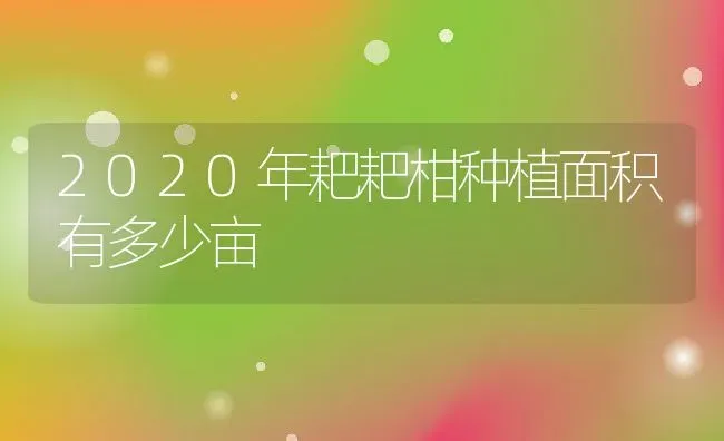 2020年耙耙柑种植面积有多少亩 | 养殖资讯