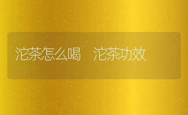 沱茶怎么喝 沱茶功效 | 养殖资料投稿