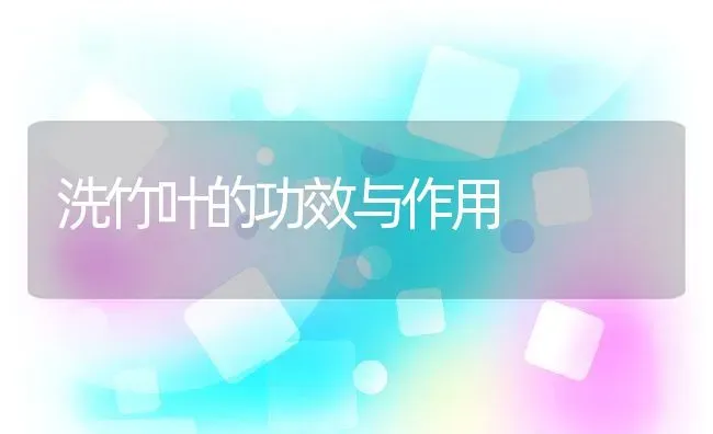洗竹叶的功效与作用 | 养殖资料投稿