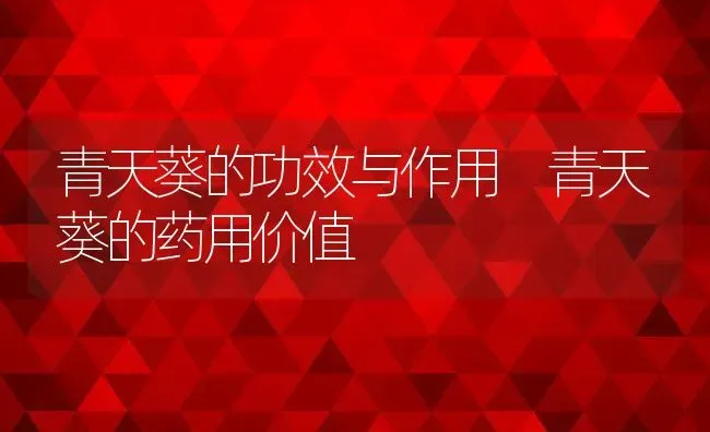 青天葵的功效与作用 青天葵的药用价值 | 养殖资料投稿