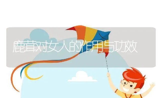 鹿茸对女人的作用与功效 | 养殖资料投稿