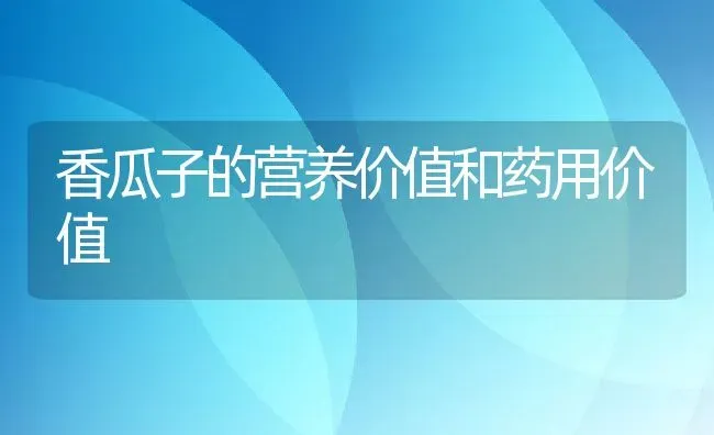 香瓜子的营养价值和药用价值 | 养殖资料投稿