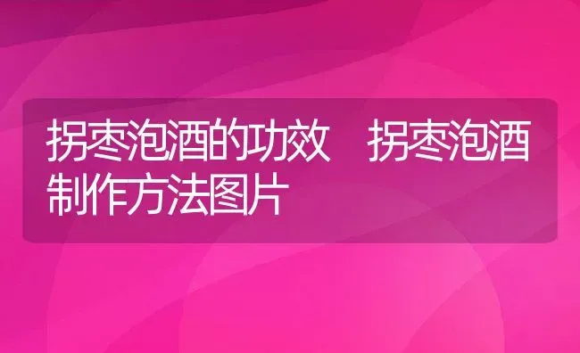 拐枣泡酒的功效 拐枣泡酒制作方法图片 | 养殖资料投稿