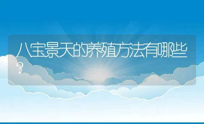 八宝景天的养殖方法有哪些? | 养殖资讯