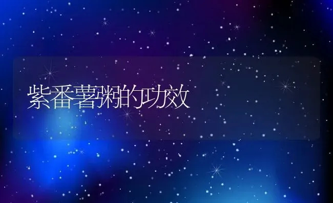 紫番薯粥的功效 | 养殖资料投稿