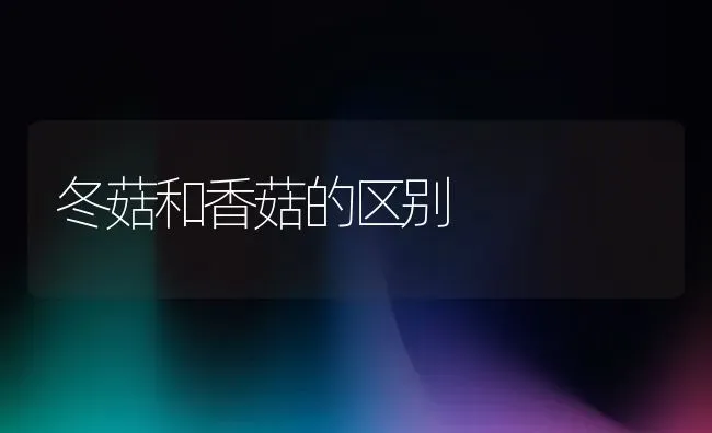冬菇和香菇的区别 | 养殖资料投稿