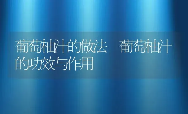 葡萄柚汁的做法 葡萄柚汁的功效与作用 | 养殖资料投稿