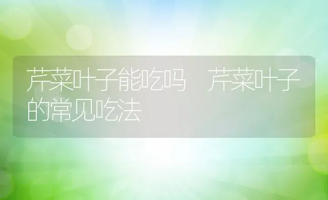 芹菜叶子能吃吗 芹菜叶子的常见吃法 | 养殖资料投稿