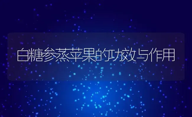 白糖参蒸苹果的功效与作用 | 养殖资料投稿