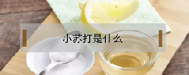 小苏打是什么