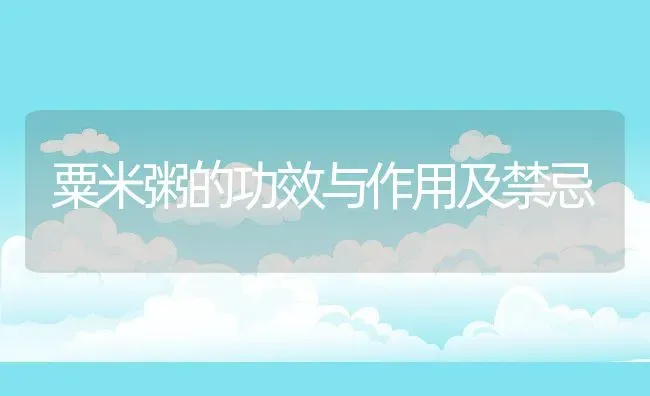 粟米粥的功效与作用及禁忌 | 养殖资讯