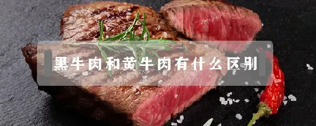 黑牛肉和黄牛肉有什么区别