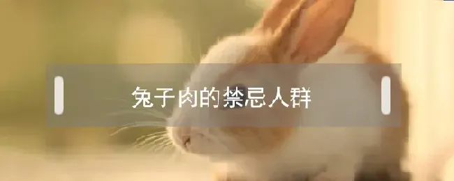 兔子肉的禁忌人群