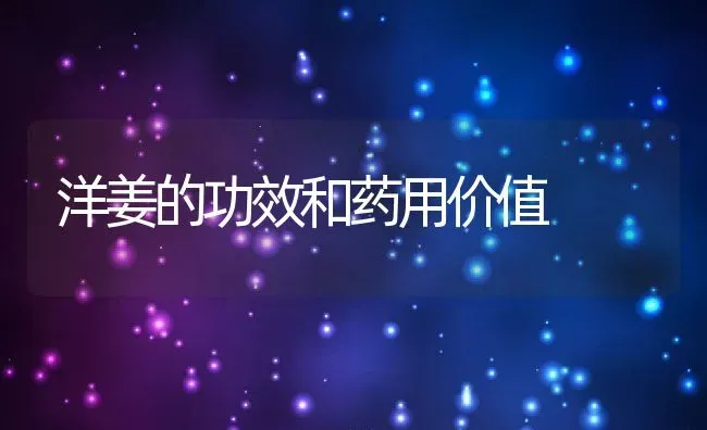 洋姜的功效和药用价值 | 养殖资料投稿