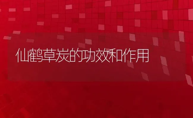 仙鹤草炭的功效和作用 | 养殖资料投稿