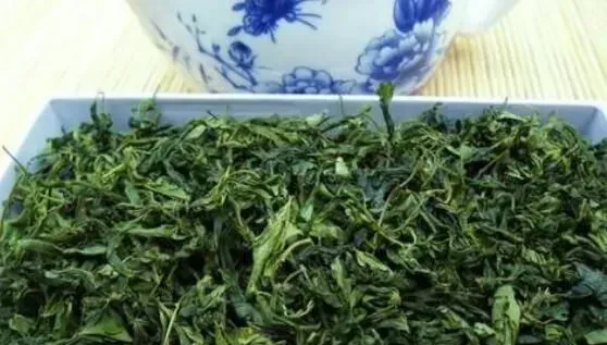 酸枣芽茶的功效与副作用