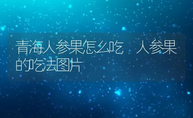 青海人参果怎么吃 人参果的吃法图片 | 养殖资料投稿
