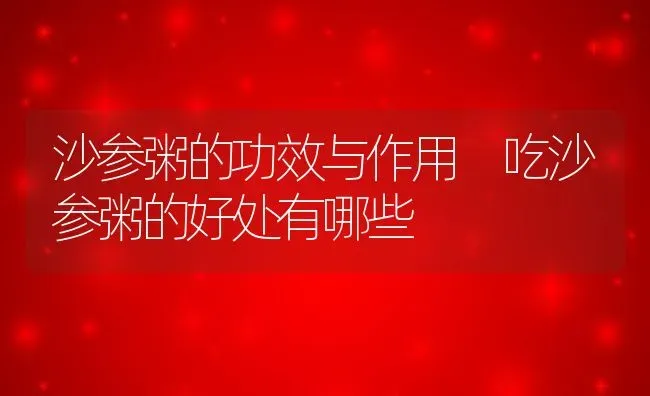 沙参粥的功效与作用 吃沙参粥的好处有哪些 | 养殖资讯